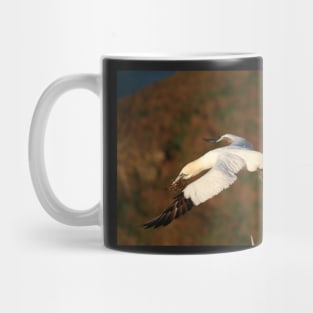 Lift off Mug